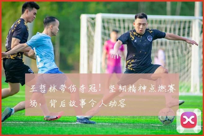 王哲林带伤夺冠！坚韧精神点燃赛场，背后故事令人动容