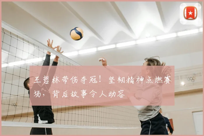 王哲林带伤夺冠!坚韧精神点燃赛场,背后故事令人动容
